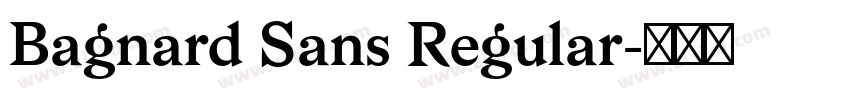 Bagnard Sans Regular字体转换